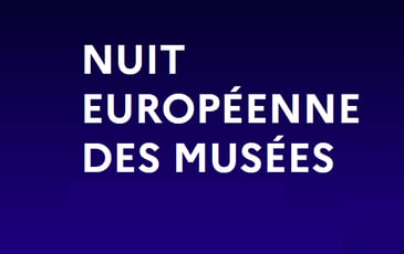 Nuit des musées à Albi