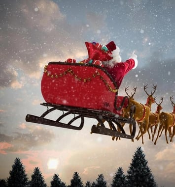 Spectacles de noël à Castres