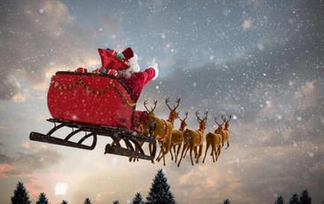 Spectacles de noël à Albi