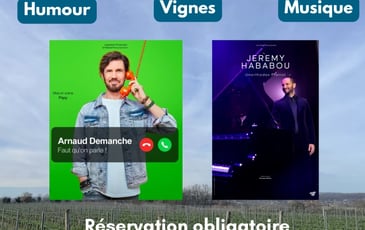 Arnaud Demanche dans Faut qu'on parle