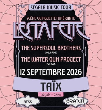 The Supersoul Brothers et The Water Gun Project : Segala Music Tour