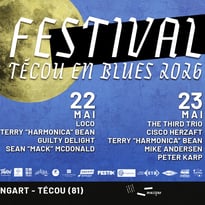 Festival Técou en Blues