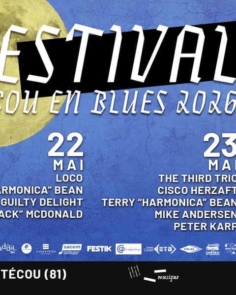 Festival Técou en Blues
