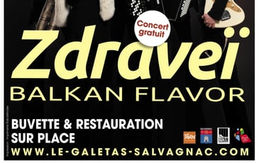 Zdraveï en concert
