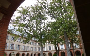Visite libre de la chapelle et du cloître des religieuses du Bon Sauveur d'Alby