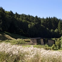Découverte de Ferrières, visite du temple et de l'église