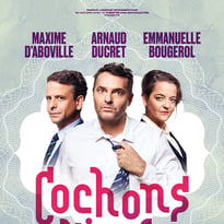 Cochons d'Inde