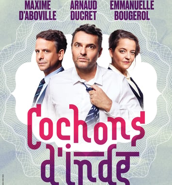 Cochons d'Inde