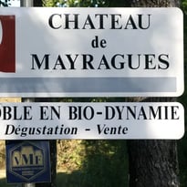 Dégustation des vins du domaine en biodynamie