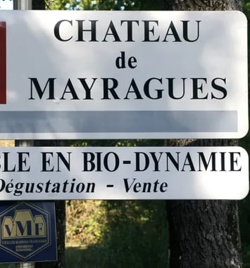 Dégustation des vins du domaine en biodynamie