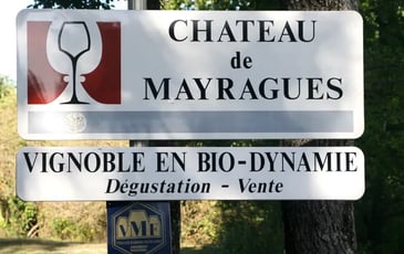 Dégustation des vins du domaine en biodynamie