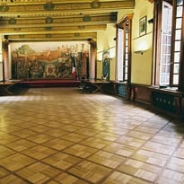 Entrez dans la salle des états de l'Albigeois pour admirer son plafond peint XVIIIe, et découvrez de nombreuses animations !