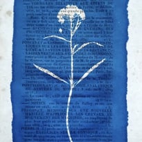 Atelier Cyanotype