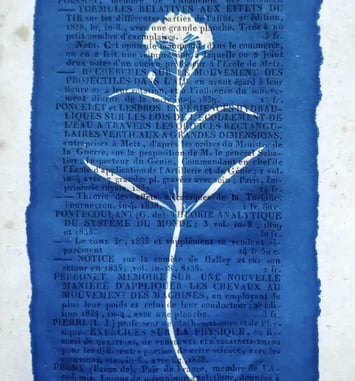 Atelier Cyanotype