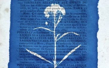 Atelier Cyanotype