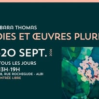 Exposition "Soies et œuvres plurielles" de Barbara Thomas