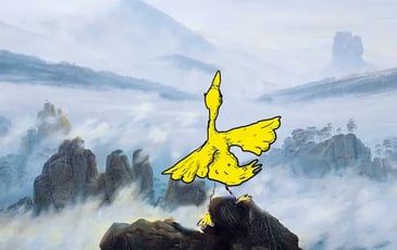 Canard or not canard