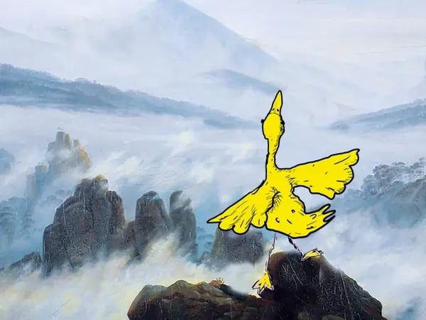Canard or not canard