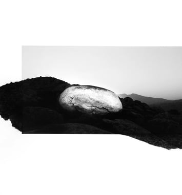 Expositions Dana Cojbuc, « Les abords »