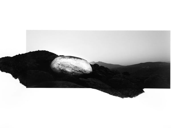 Expositions Dana Cojbuc, « Les abords »