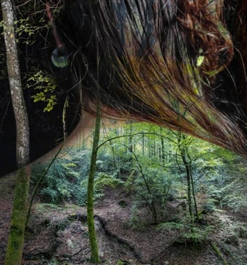 Rester Sauvage